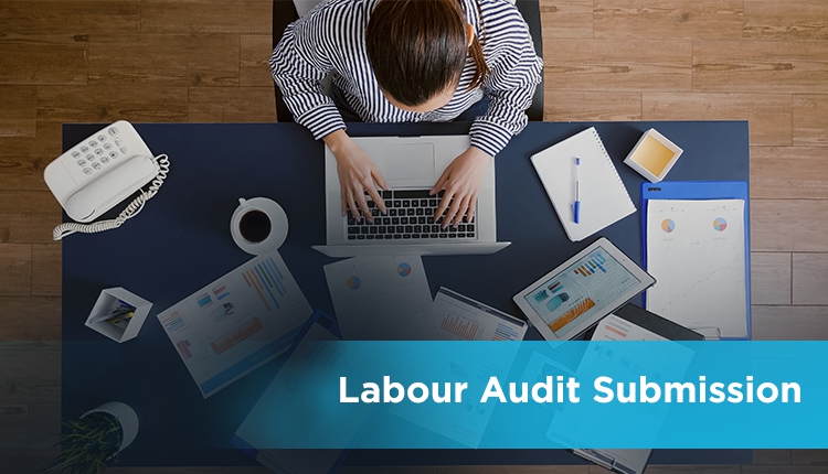 Department of Labour and Occupational Safety has published a notice for Labour Audit Submission